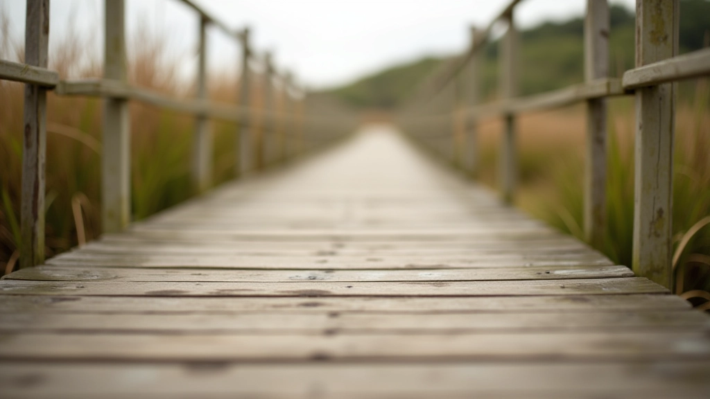 Close-up of wooden boardwalk surface showing weathered timber and safety handrails along the pathway